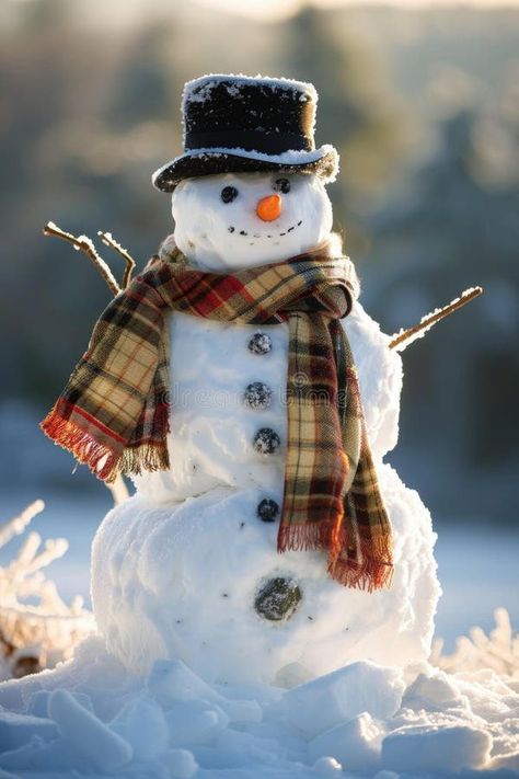 Cheerful Snowman with Red Hat and Scarf in Snowy Winter Wonderland stock images Snowman Photoshoot, Snowman Photography, Real Snowman, Snowman Real, Snowman Photos, It's Snowing, Snow Photography, Bah Humbug, Winter Snowman