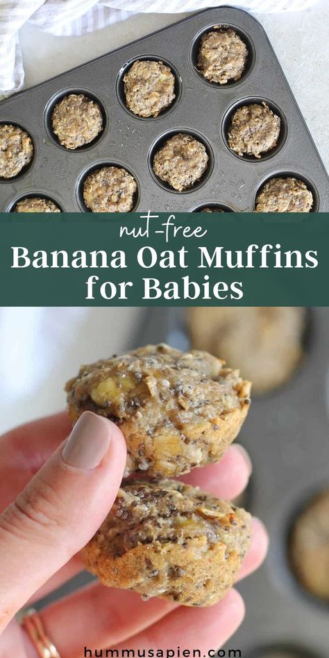 Baby Banana Muffins, Banana Muffins No Sugar, Oatmeal Banana Muffins, Egg Free Muffins, Dairy Free Baby, Banana Nut Oatmeal, Baby Led Weaning Breakfast, Oatmeal Muffin Recipes, Source Of Iron