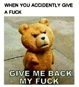 Ted Bear Funny, Thunder Buddies, Ted Bear, Bear Funny, Big Heart, Humor, Instagram Post, Funny, Instagram