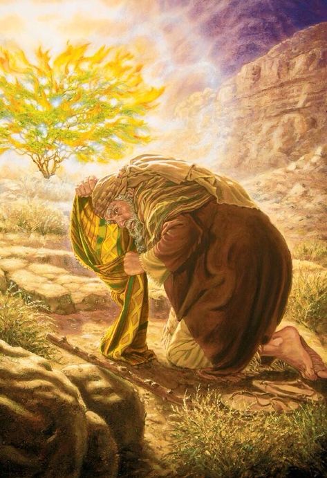 Psalm 133, Biblical Images, Biblical Artwork, Burning Bush, Bible Images, Bible Illustrations, Jesus Christ Art, Bible History, Christian Artwork