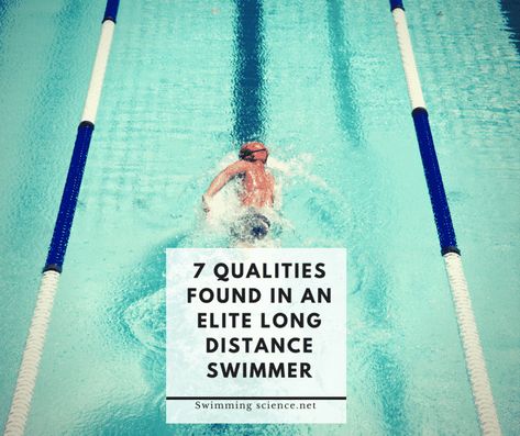 7 Qualities Found in an Elite Long Distance Swimmer - Swimming Science How To Swim Faster, The Rival, Mental Strength, Swimming Workout, Open Water, Swimmers, Long Distance, You Tried, Never Give Up