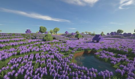 Minecraft Lavender, Flower Field Minecraft, Minecraft Flower Field, Minecraft Seed, Lavender Fields, Flower Field, Image Types, Xbox One, Xbox