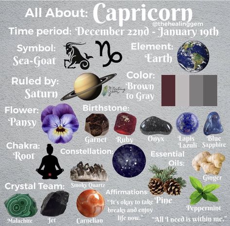 All about Capricorn Zodiac Sign About Capricorn, All About Capricorn, Aquarius Sun, Zodiac Signs Elements, Miracle Workers, Capricorn Aesthetic, Scorpio And Capricorn, Horoscope Tattoos, Cute Animal Quotes