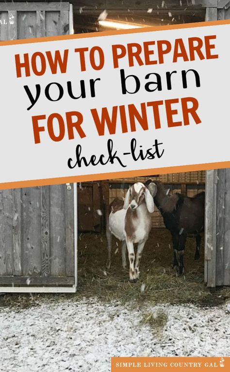 Get tips on how to prepare your barn for winter weather. Barn cleaning winter prep tips you can use starting today. Cleaning out the barn for fall ensures healthy and happy livestock. How to prepare your barn for the winter, Winter barn prep, set up a winter barn, Livestock winter prep. Fall barn cleaning. Homestead winter preparation. #winterhometsead #winterbarnprep #winterlivestock #wintergoats Winter Goat Shelter, Barn Ideas For Animals, Goat Barn Ideas, Barn For Animals, Cow Shelter, Donkey Shelter, 4h Goats, Winter Preparation, Barn Organization