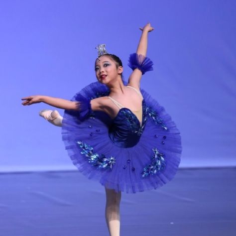 Cheap Ballet, Buy Directly from China Suppliers:BLL027 Royal blue ballet leotard 7 layers adult women dance costume ballet tutu ballerina performance ballet costume dance tutu Enjoy ✓Free Shipping Worldwide! ✓Limited Time Sale ✓Easy Return. Bluebird Costume Ballet, Blue Ballet Leotards, Blue Bird Ballet Costume, Ballerina Performance, Bluebird Variation, Professional Ballet Tutu, Spanish Ballet Tutu, Dance Costumes Ballet, Blue Tutu Ballet