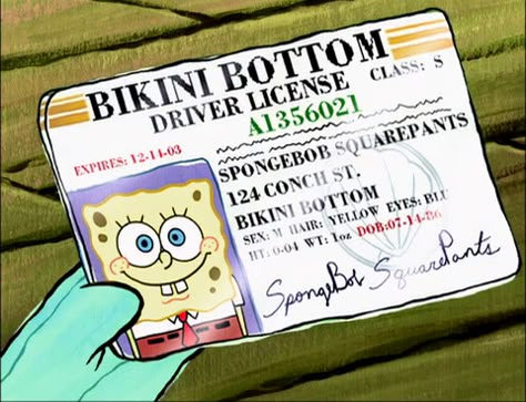 License Vision Board, Driver License Aesthetic, Birthday Cartoon Drawing, Boyfriend Cartoon, Cartoon Baby Girl, Doug Funnie, Boating License, Self Goals, Mood Board 2023