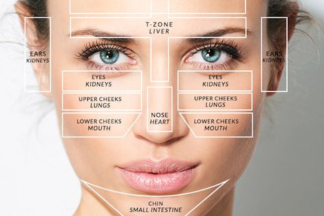 Discover how different parts of your face could reveal a lot about your health that you didn't know. Pimple Meaning, Gesicht Mapping, Doterra Acne, Face Mapping Acne, Body Toxins, Face Mapping, Things To, To Try, Acne Causes