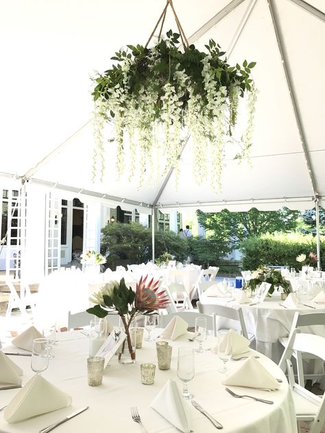 Floral chandelier with greenery and white wisteria Flower Chandelier Wedding, Chandelier Greenery, Chandelier Wedding Decor, Floral Chandelier Wedding, Wisteria Wedding, Wedding Marquee, White Wisteria, Wedding Chandelier, Flower Chandelier