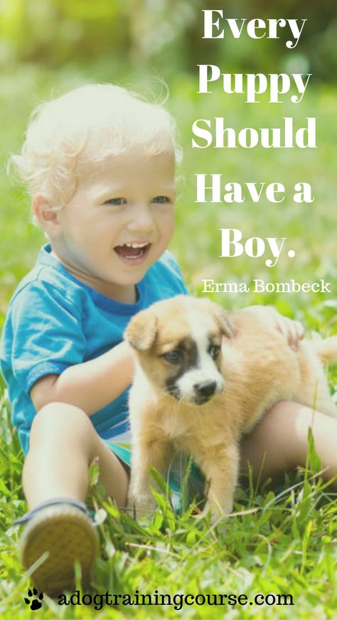 A Boy And His Dog Quotes, Erma Bombeck, Boy And His Dog, Dog Smells, Behavior Modification, Puppy Dog Eyes, Dog Nutrition, Aggressive Dog, Dog Eyes