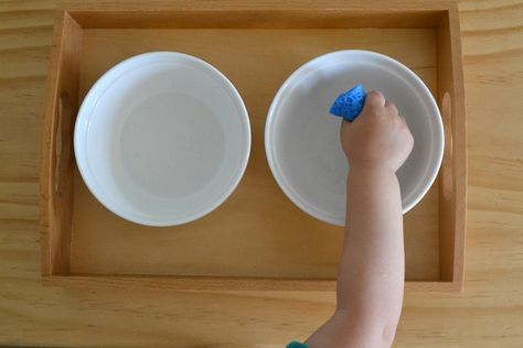 Water transfer activities for toddlers- sponge, baster, and funnel Water Activities For Toddlers, Motor Skills Preschool, Montessori Trays, Montessori Teacher, Toddler Teacher, Practical Life Activities, Toddler Montessori, Sponging, Montessori Practical Life