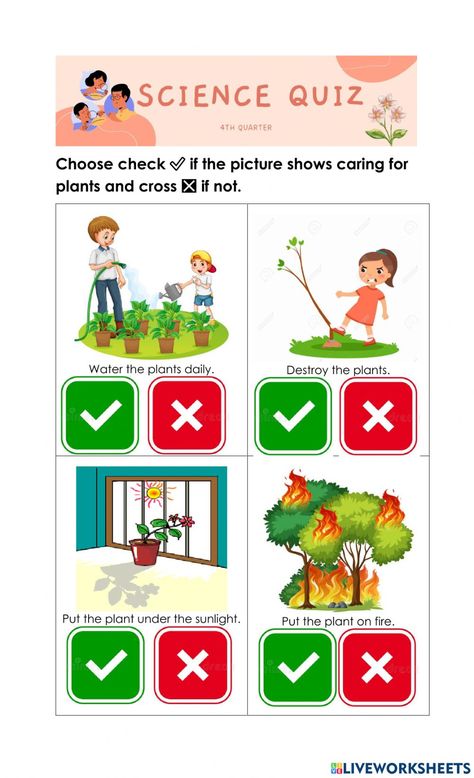 Uses Of Plants Worksheet, Plants Worksheets For Kindergarten, Caring For Plants, Taking Care Of Plants, Plants Worksheets, Science Quiz, Plant Activities, Worksheets For Kindergarten, 1st Grade Worksheets