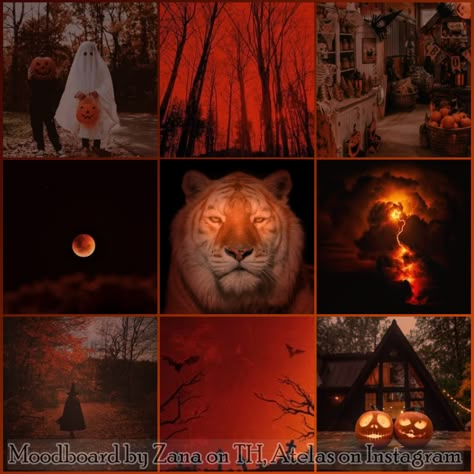 -.Halloween is my favorite event, I know it's far away, but... I can't wait- aha...-. I add some detail to this moodboard! I hope you like it! I've always loved making moodboards, so here are a few that I had fun doing. All images come from pinterest, and have a specific theme and species. They are free! use them to create your adopts or oc (no need to credit me until the signature is not removed) Tiger Moodboard, Adopt Idea, Moodboard Inspo, Mood Board Inspiration, Board Inspiration, Free Use, Mood Board Design, Aesthetic Images, Art Challenge