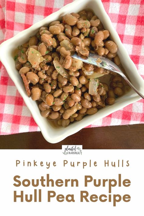 These are the best pinkeye purple hull peas! This fresh purple hull pea recipe southern style will become your new favorite. We'll show you how to cook purple hull peas on the stove top. (Affiliate links in post.) Leftover purple hull peas? We have ideas for leftover purple hull peas recipes, too! Add this recipe to your field peas recipe collection! You can also use this recipe for frozen purple hull peas by simply reducing the cook time. Purple Hill Peas Recipe, Crowder Peas Recipe, Southern Peas Recipe, Fresh Purple Hull Peas, Field Peas Recipe, Purple Hull Peas Recipe, Field Peas, Peas Recipes, Purple Beans