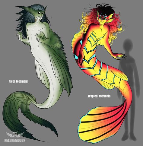 Mermaid X Human, Mer People, Realistic Mermaid, Mermaid Pose, Humanoid Creatures, Mermaid Drawings, Mermaids And Mermen, Underwater Creatures, Alien Concept Art