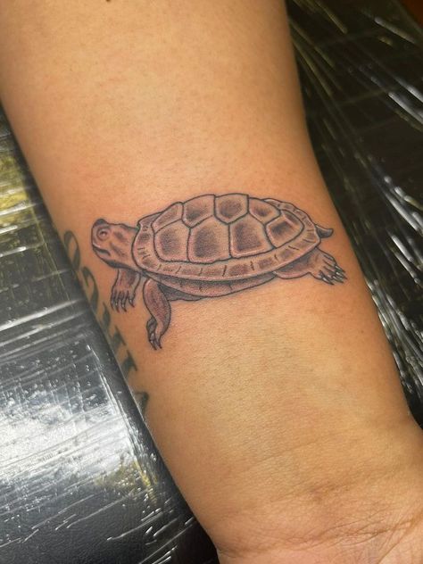 Slider turtle for my turtle Hunter💚🐢 Slider Turtle Tattoo, Slider Turtle, Aquatic Turtles, Turtle Tattoo, I Tattoo, Sliders, Tattoos