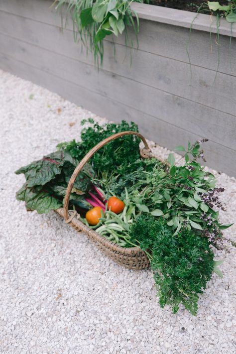 A beautiful garden harvest basket is just as important in displaying all your veggies as it is in transporting them. Find links to garden trugs and hods. Garden Trug, Garden River, Harvest Basket, Garden Basket, Fall Garden Vegetables, Garden Vegetables, Recycled Garden, Garden Veggies, Lawn And Landscape