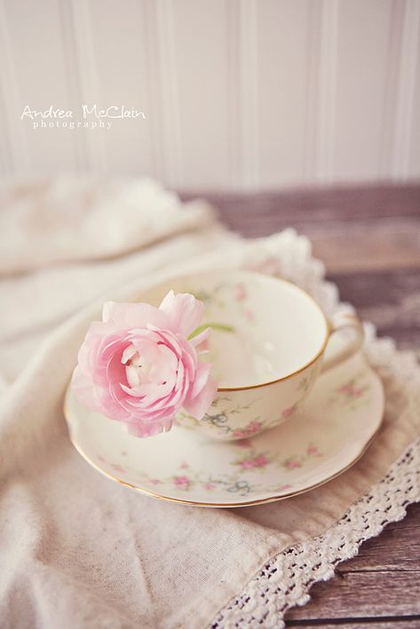 Flower In Teacup | andrea | Flickr Tea Cups, Flowers