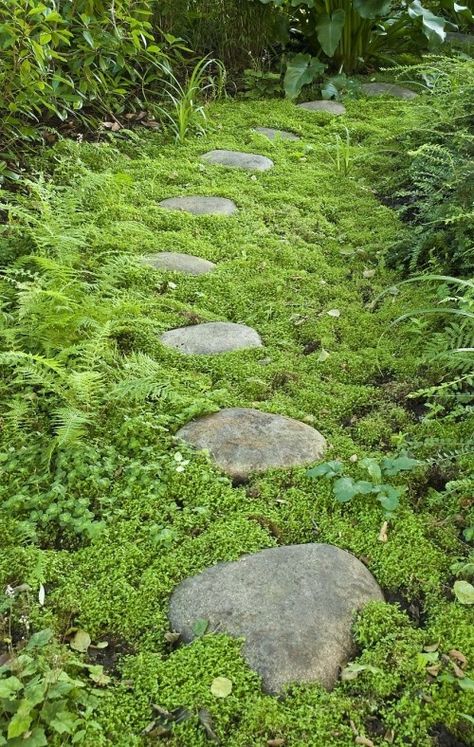 ✿ ᗰ๏§§ Gคгdƹภ ✿ Landscaping Inspiration, Garden Walkway, Garden Steps, Moss Garden, Stone Path, Woodland Garden, Garden Pathway, Green Garden, The Grass