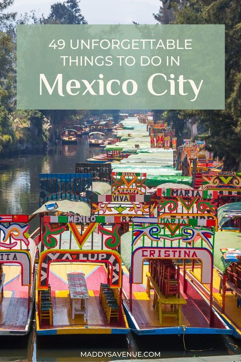 Mexico City Bucket List, City Bucket List, Mexico City Vacation, Mexico City Travel Guide, Things To Do In Mexico, Visiting Mexico City, Mexico City Travel, Have The Best Day, Explore Mexico