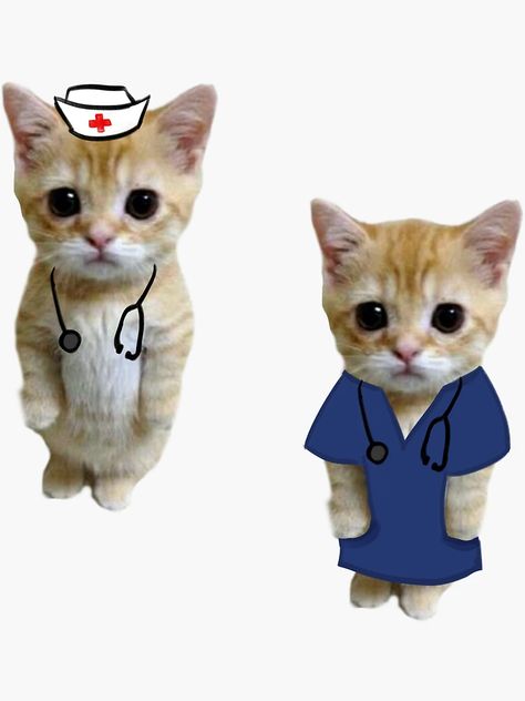 "Nurse/Doctor Cats" Sticker for Sale by Raghdaa77 | Redbubble Vet Stickers, White Stethoscope, Medicine Stickers, Med Stickers, Anatomy Stickers, Doctor Cat, Nurse Cat, Doctor Stickers, Medical Stickers