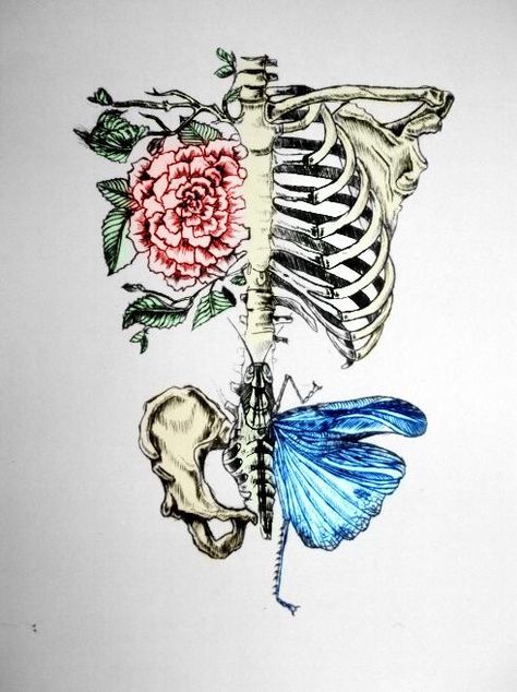 rib cage butterfly rose Tumblr Drawings, Kunst Tattoos, Art Et Illustration, Wow Art, Art And Illustration, Anatomy Art, Fantasy Illustration, Flower Mandala, Pen Drawing