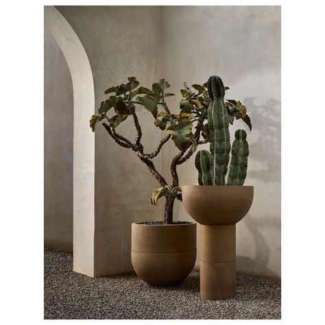 S I R A K (@sirakstudio) • Instagram photos and videos Saturn V, Indoor Cactus, Midcentury Design, Pothos Plant, Deco Originale, Trellis Design, Big Plants, Interior Plants, Unique Trees