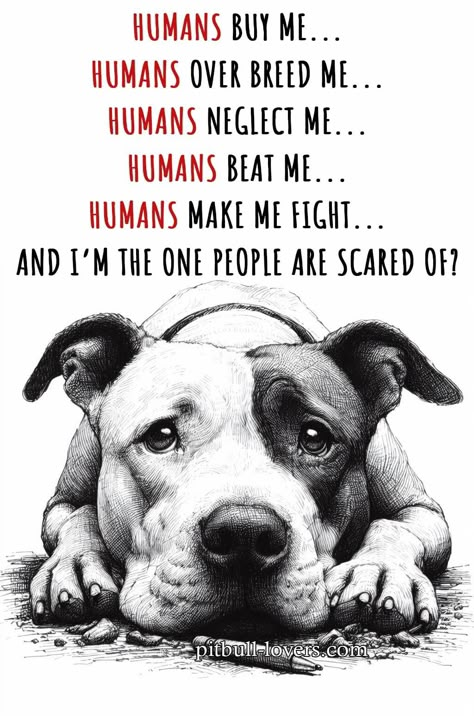 Pitbull Quotes Truths, Funny Pitbull Quotes, Pit Bull Quotes, Pitbull Dog Quotes, Pit Bull Drawing, Bull Quotes, Dog Shih Tzu, Pitbull Quotes, Dog Poems