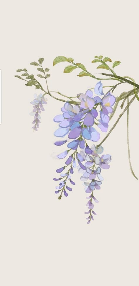 Flower Drawing Tutorials, Watercolor Flower Art, Flower Art Images, Plant Drawing, Wisteria, Botanical Illustration, Fabric Painting, Botanical Art, 그림 그리기