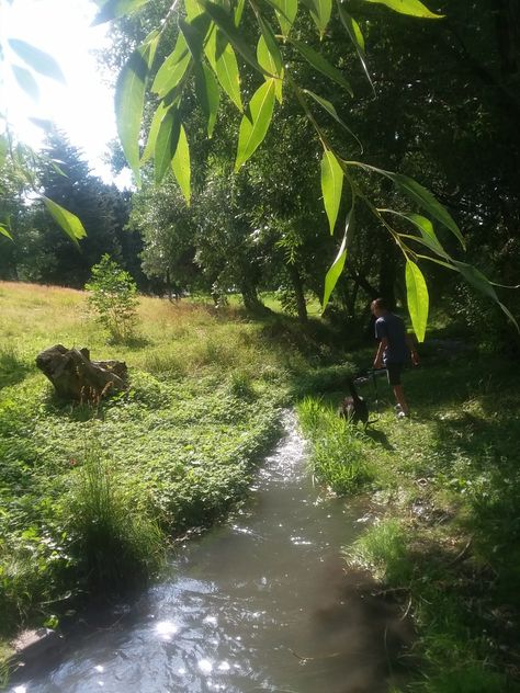 ~walking beside the creek in a summer haze~ Summer Haze Aesthetic, Summer State Of Mind, Late Summer Aesthetic, Erin Aesthetic, Creek Aesthetic, This Must Be My Dream, Quiet Summer, Summer Haze, Sufjan Stevens