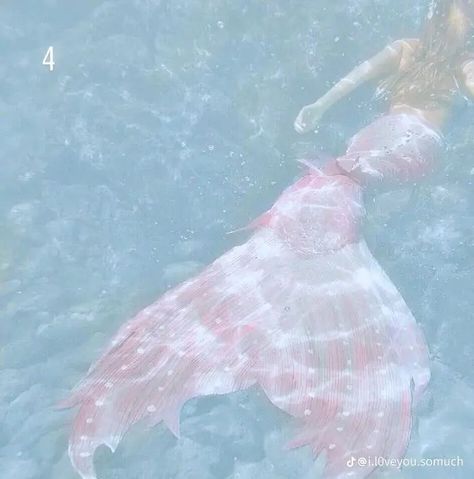 Blue Mermaid Aesthetic, Mermaid Tail Aesthetic, Siren Tail, Pink Mermaid Tail, Blue Mermaid Tail, No Ordinary Girl, Coconut Dream, Mermaid Cove, Siren Mermaid