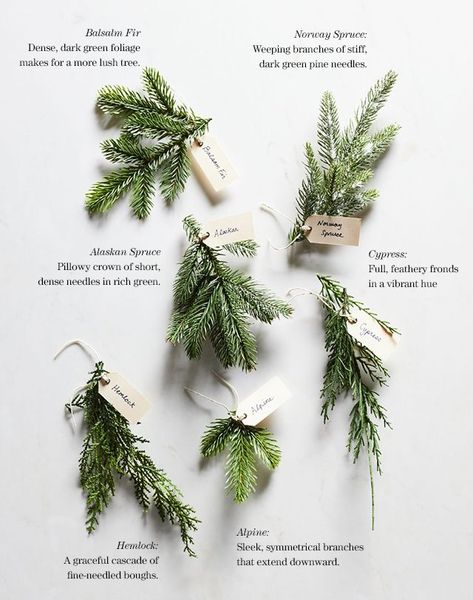 Mail - Ker Lee Yap - Outlook Conservation Illustration, Ring Wreaths, Wreath Making Party, Christmas Botanicals, Christmas Winter Scenes, Christmas Ideas To Make, Winter Illustrations, Winter Floral Arrangements, Christmas Foliage