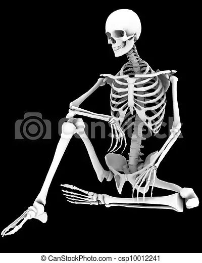 Skeleton tattoo idea Posing Skeletons, Skeleton Figure, Skeleton Anatomy, Skeleton Tattoos, Human Reference, Anatomy Study, Skeleton Art, Anatomy Drawing, Figure Drawing Reference