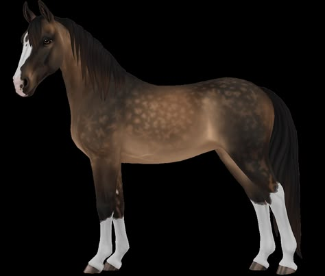 Stable Outfit, Horse Digital Art, Tennessee Walker Horse, Horse Journal, Horse Art Ideas, Art Inspiration Reference, Tennessee Walker, Star Stable Horses, Horse Png