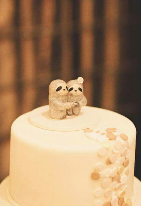 Sloth Wedding, Sloth Cakes, Sloth Life, Sloth Art, Jillian Harris, Massachusetts Wedding, Sloth Gift, Sloths Funny, Sloth Lovers