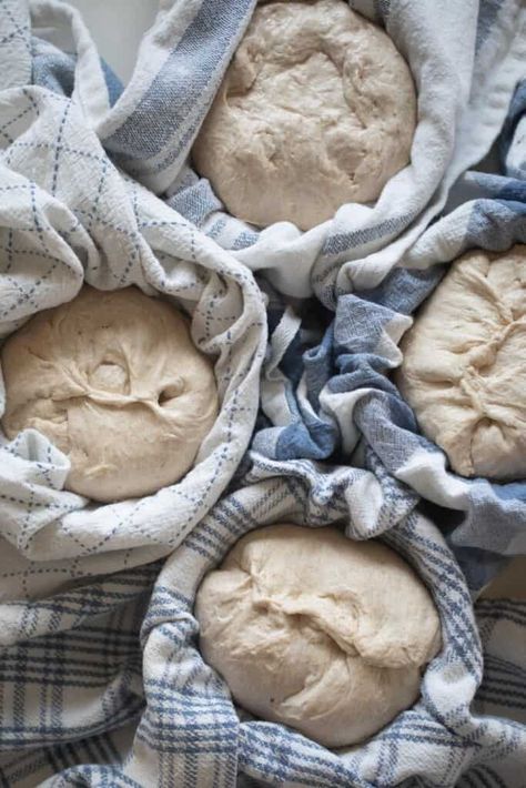 Have you ever wanted to make sourdough mini loaves or bake multiple sourdough loaves at once? This small batch sourdough bread recipe is for you! Great for gifts or smaller households, learn how to make 4 mini sourdough loaves at once. #minisourdoughloaves #farmhouseonboone Bread Cloche, Recipe Using Sourdough Starter, Sourdough Starter Discard Recipe, Country Bread, Dough Scraper, Mini Loaf, Sourdough Bread Recipe, Healthy Homemade Recipes, Bread Bowls