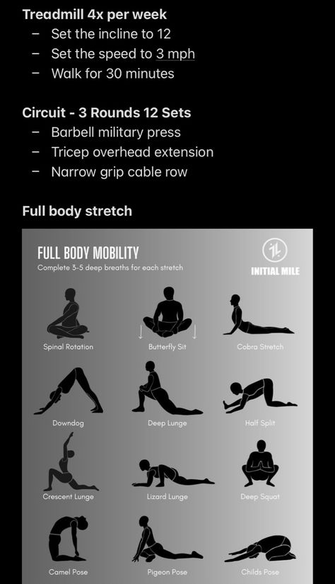 Deep Lunges, Crescent Lunge, Full Body Circuit, Cable Row, Full Body Stretch, Military Press, Deep Squat, Camel Pose, Pigeon Pose