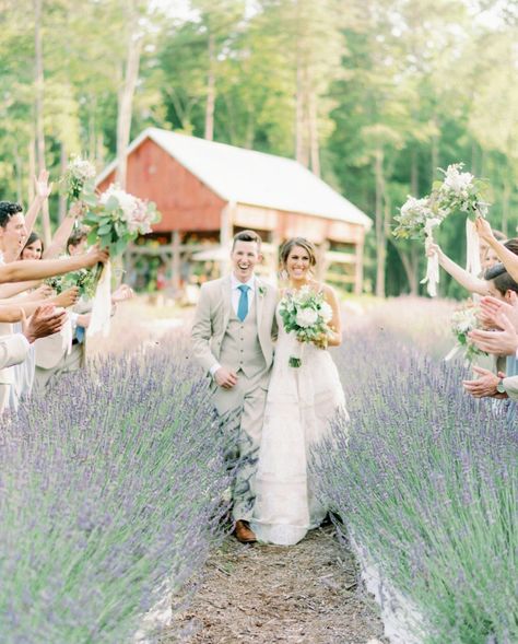 Dusty blue & khaki suits for the most beautiful wedding in lavender fields! Khaki Suits, Enchanted Garden Wedding, Venue Rental, Chapel Hill Nc, Wedding Prices, Nc Wedding, Chapel Hill, Chapel Wedding, Outdoor Wedding Ceremony