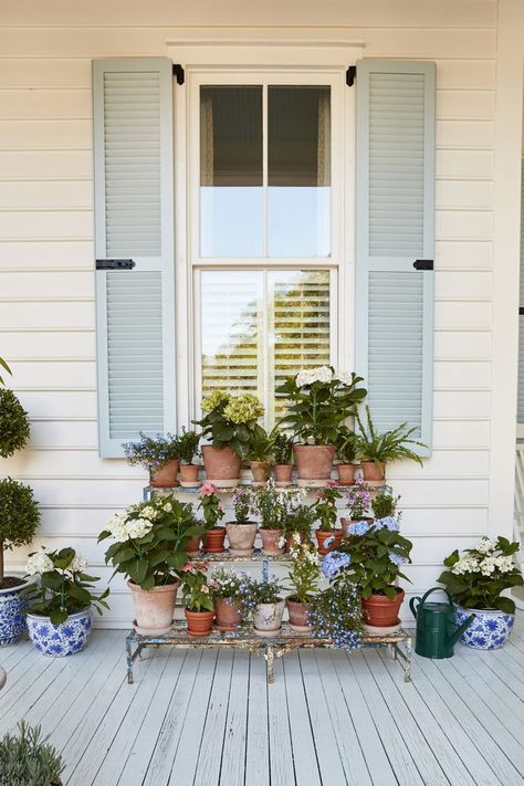 See Inside Julia Berolzheimer's Charming Charleston Home Front Porch Plant Stand, Southern Living Magazine, Blue Shutters, Julia Berolzheimer, Charleston Homes, Gal Meets Glam, Beautiful Backdrops, Ship Lap Walls, White Houses