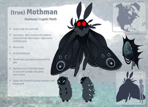 Mothman Oc Art, Mothman Fanart Cute, Cute Cryptid Art, Cryptid Character Design, Mothman Comic, Mothman Oc, Moth Man Art, Mothman Illustration, Mothman Pfp