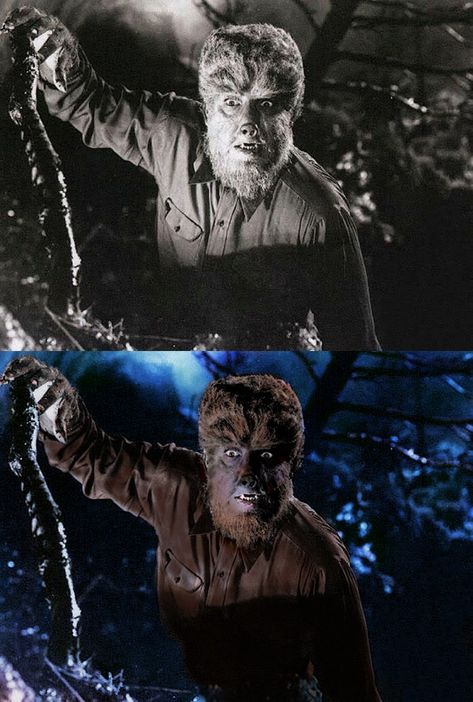 Here we have Universal Studio's The Wolfman, as played by Lon Chaney Jr. in the 1941 film. Brown yak fur was used for the fur; his clothes were chocolate brown. Lon Chaney Jr., who played the character, had hazel eyes.  Click to Expand. The Wolfman 2010, Hollywood Monsters, The Wolf Man, The Wolfman, Classic Monster Movies, Werewolf Costume, Lon Chaney Jr, Wolf Man, Lon Chaney