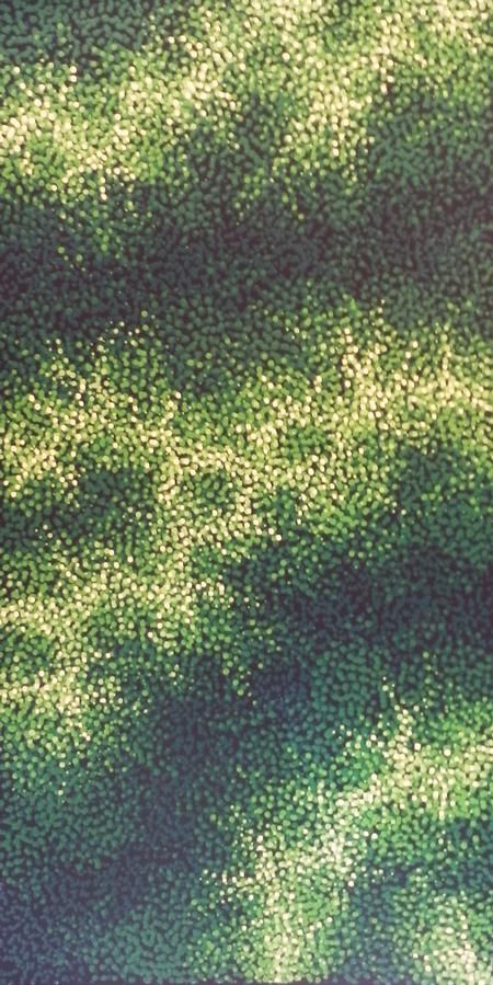 Bush Aboriginal Garden, Green Aboriginal Art, Aboriginal Cave Painting, Aboriginal Contemporary Art, Indigenous Australian Art, Aboriginal Dreamtime Art, Aboriginal Painting, Original Iphone Wallpaper, Paint Background