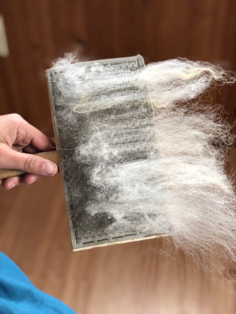 How to use wool hand carders — Mother of Purl Hand Carding Wool, Carding Wool, Cleaning Wool, How To Spin Wool, How To Spin Wool Into Yarn, Farm Facts, Hair Yarn, Wool Batts, Diy Wool