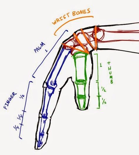 Arm Anatomy, Anatomy Sculpture, Draw Hands, Art Advice, 3d Cnc, Anatomy Sketches, Anatomy Drawing, Hand Sketch, Body Drawing