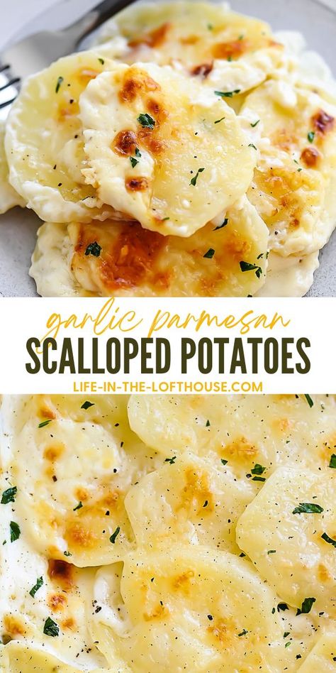 Shredded Chicken Dishes, Parmesan Scalloped Potatoes, Creamy Garlic Potatoes, Cheese Scalloped Potatoes, Parmesan Potato Recipe, Life In The Lofthouse, Potato Sauce, Creamy Scalloped Potatoes, Garlic Parmesan Potatoes