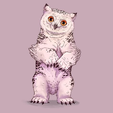 Mage Familiar, Tattoos Dnd, Snowy Owlbear, Owlbear Art, Owlbear Cub, Dnd Creatures, Snow Owl, Owls Drawing, Dnd Monsters