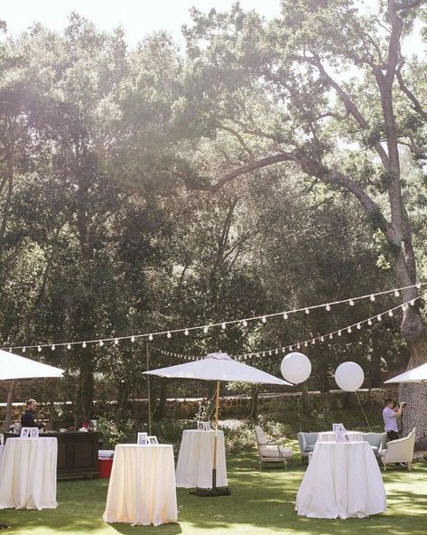 Spring Engagement Party, Outdoor Engagement Party, Backyard Engagement Parties, Event Seating, Purple Instagram, Cocktail Hour Decor, Garden Event, Summer Wedding Reception, White Linens