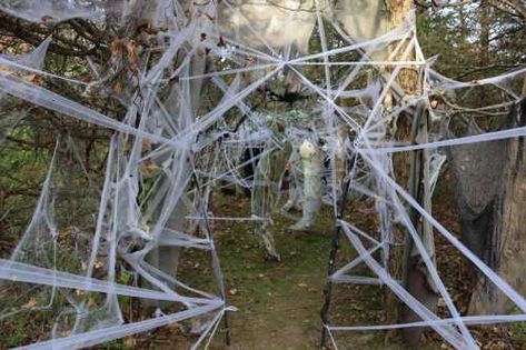 This Horrifying Haunted Trail In Vermont Will Leave You Shaking In Your Boots Haunted Trail Ideas, Trail Ideas, Haunted Trail, Grand Isle, Haunted Halloween, Nature Hikes, Scary Clowns, College Town, Autumn Activities