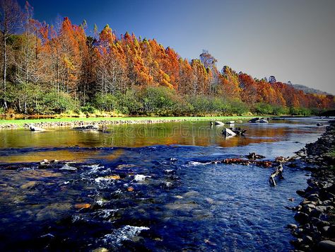 Oklahoma Morning. Fall Colors in Beavers Bend State Park , #sponsored, #Fall, #Colors, #Oklahoma, #Morning, #State #ad Black Mesa State Park Oklahoma, Gloss Mountains Oklahoma, Mount Magazine Arkansas, Mount Magazine State Park Arkansas, Osage Nation, Oklahoma Attractions, Beavers Bend State Park, Fall Images, Grand Lake