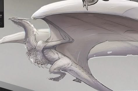 Wyvern Oc, Meraxes Dragon Art, Grey Ghost Dragon, Wyvern With Feathers, Hotd Dragons, Dragon Anatomy, Dragon Born, Got Dragons, Dragon Images