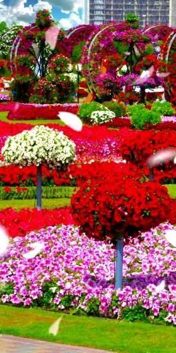 ❤️ Flowers 💐 🌈 💋 💋 💋 💋 [Video] | Most beautiful gardens, Beautiful flowers wallpapers, Miracle garden Rose Belle, Miracle Garden, Different Types Of Flowers, Most Beautiful Gardens, Beautiful Flowers Garden, Beautiful Flowers Wallpapers, Beautiful Rose Flowers, Beautiful Flowers Pictures, Gorgeous Gardens